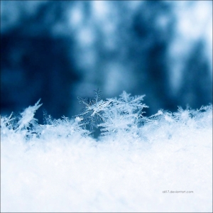 snowflakes_by_all17